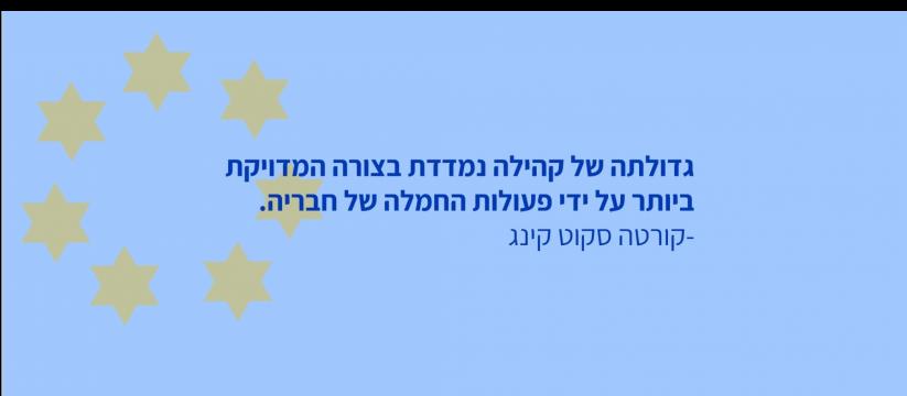 טיפול בדסמי וידואיים